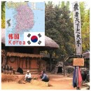 South Korea’s zip code query Chesapeake remote areas – TNT international express